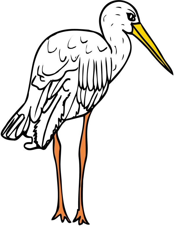 各種鳥類鳥動(dòng)物矢量素材EPS格式1449