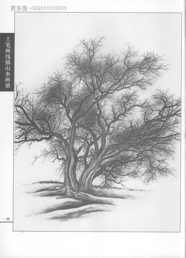 工笔画线描山水画谱树石图片