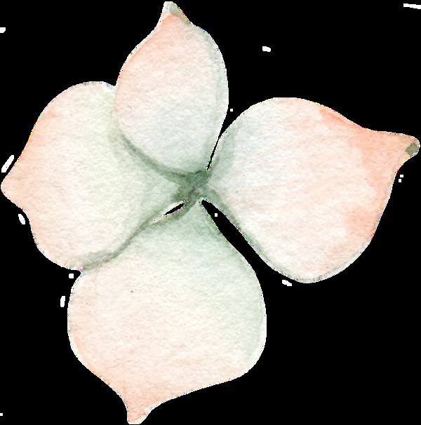 簡(jiǎn)約免扣樹(shù)葉透明裝飾圖案
