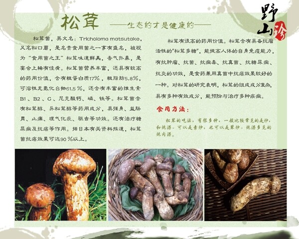 野山菌松茸簡介展板圖片