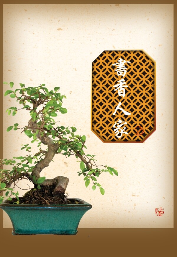 盆景圖片