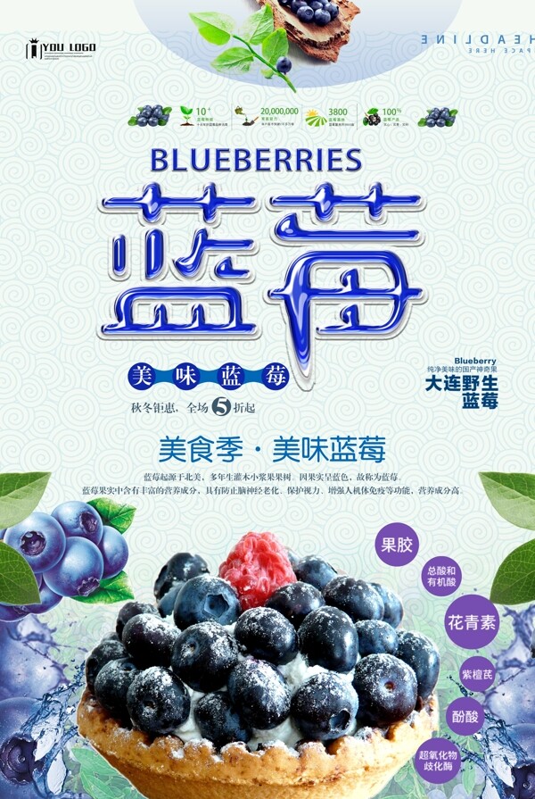 蓝莓新鲜上新海报.psd