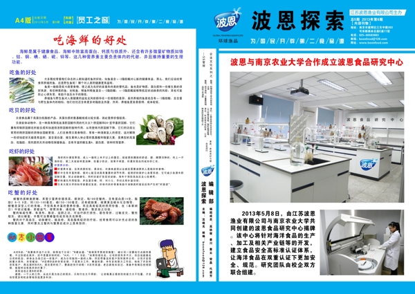 伯恩探索宣傳單