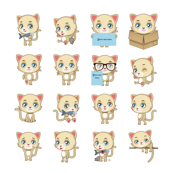 猫的行为集合