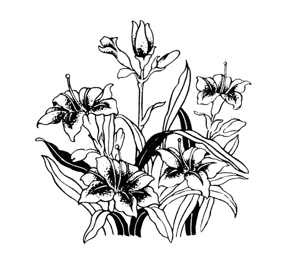 萱草吉祥圖案055