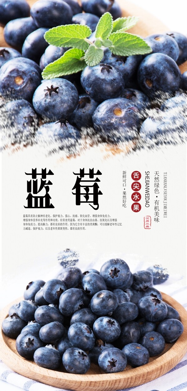 蓝莓水果分层海报