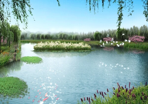 蘆葦水景