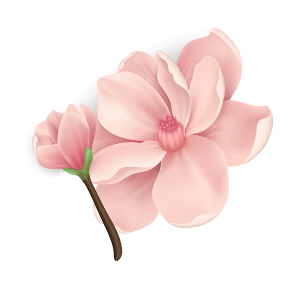 卡通的粉色花朵桃花素材