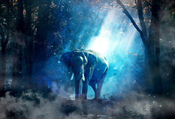 森林大象魔幻背景海报素材图片