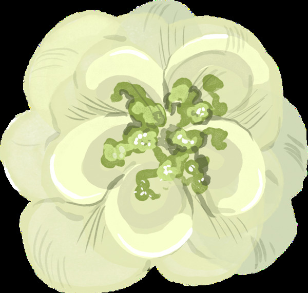 手绘简单白色花朵png透明素材