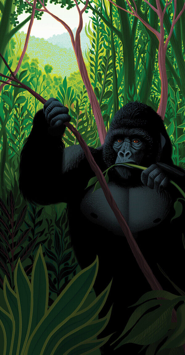 大猩猩动物卡通插画场景背景素材图片