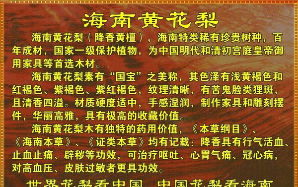 海南黃花梨圖片