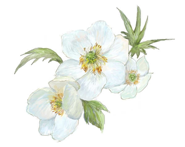 數(shù)碼印花圖案