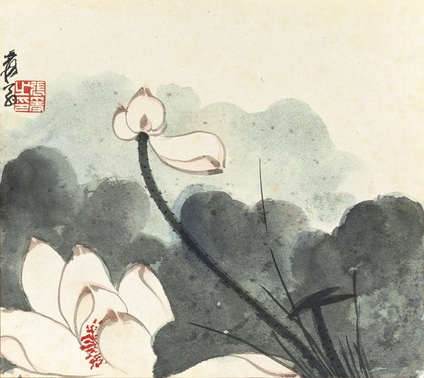 荷花圖片