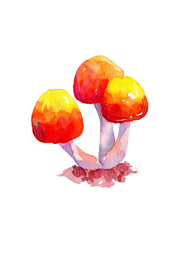 蘑菇插画食用蘑菇秋天秋季菇类