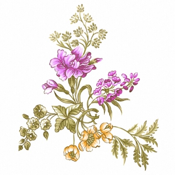 位圖時(shí)尚休閑女裝成熟優(yōu)雅女裝植物花卉免費(fèi)素材