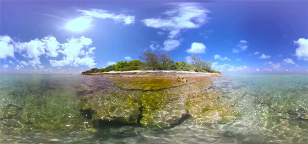 苍鹭岛海底生活VR视频