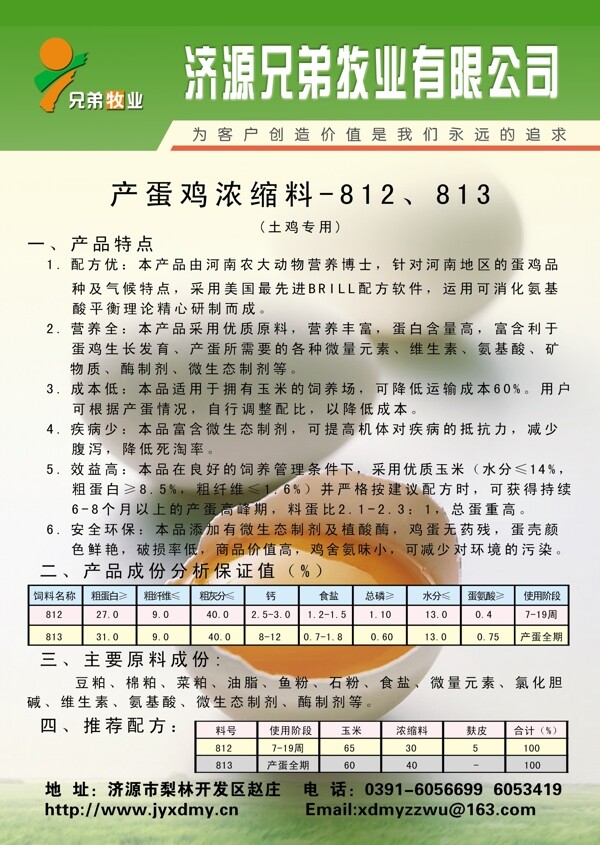 彩頁圖片