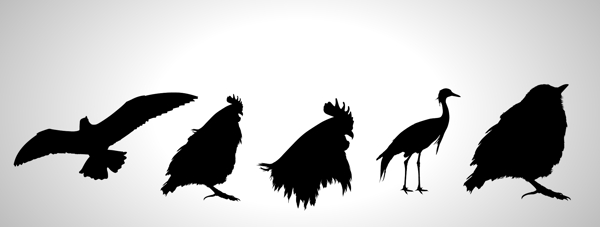 飛鳥家禽抽象圖