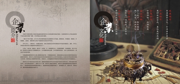 醫(yī)藥企業(yè)文化