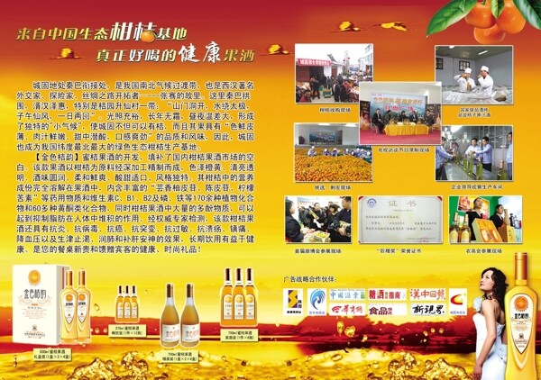 桔子酒畫冊圖片