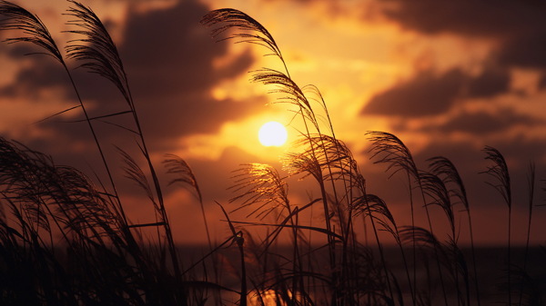 夕陽余暉