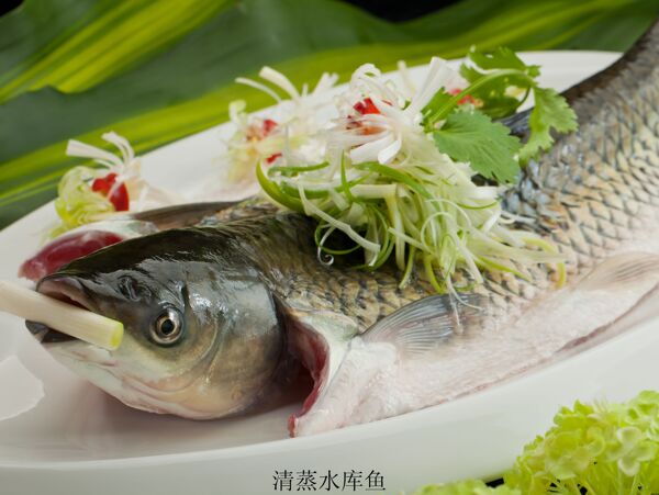 清蒸魚圖片