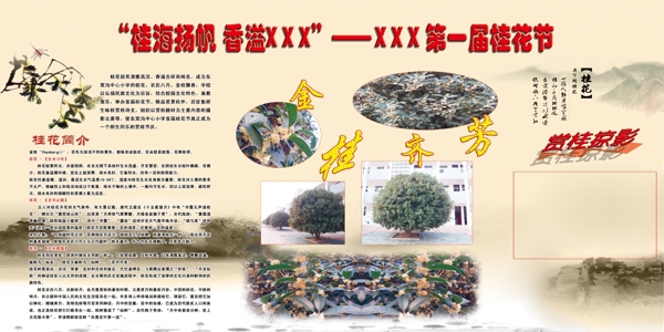 桂花節(jié)展板圖片