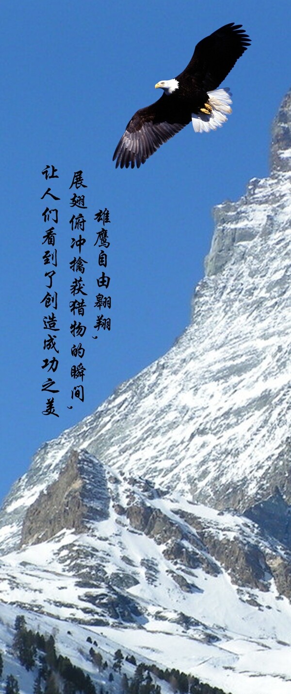 企業(yè)文化墻模板圖片