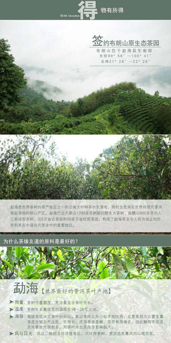 茶葉詳情頁ideapie74