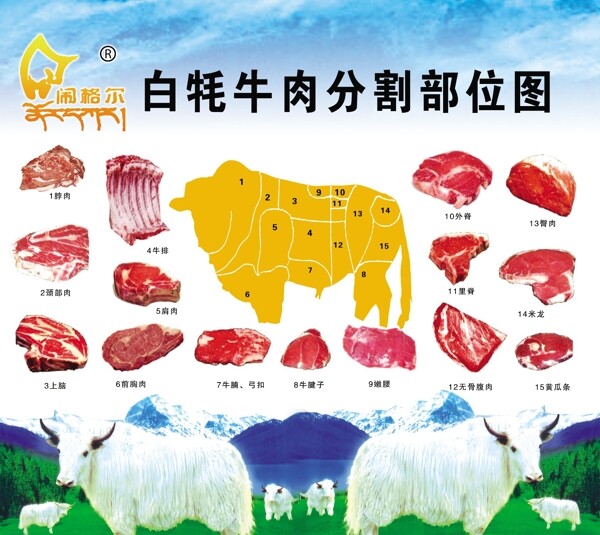 牛肉分割部位图