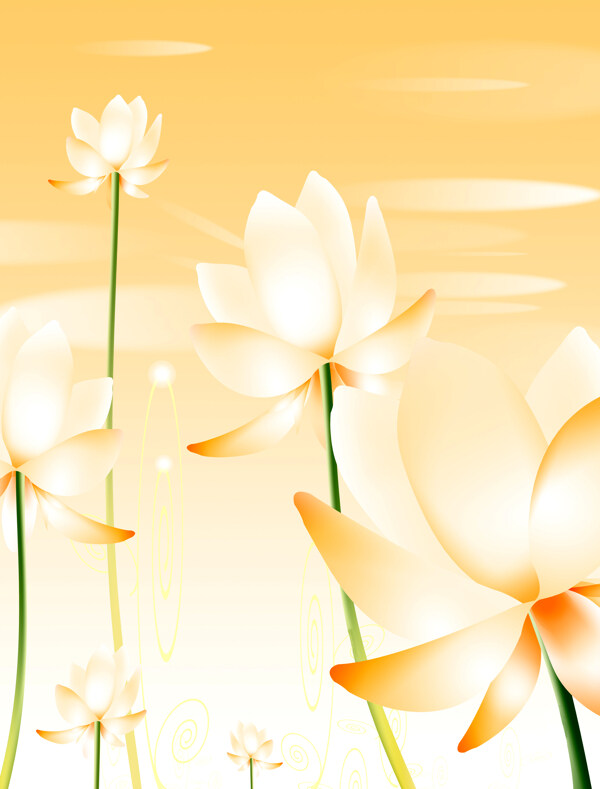 bh141190x250