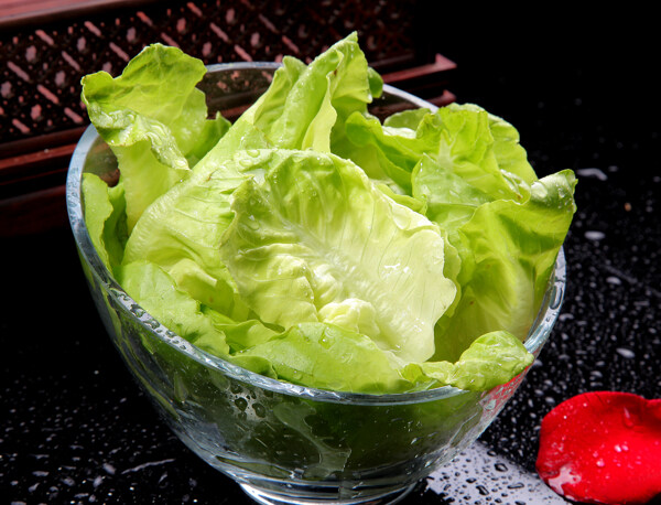 生菜