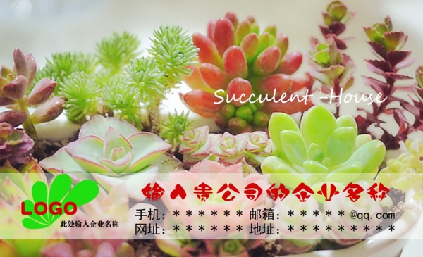 多肉植物名片圖片
