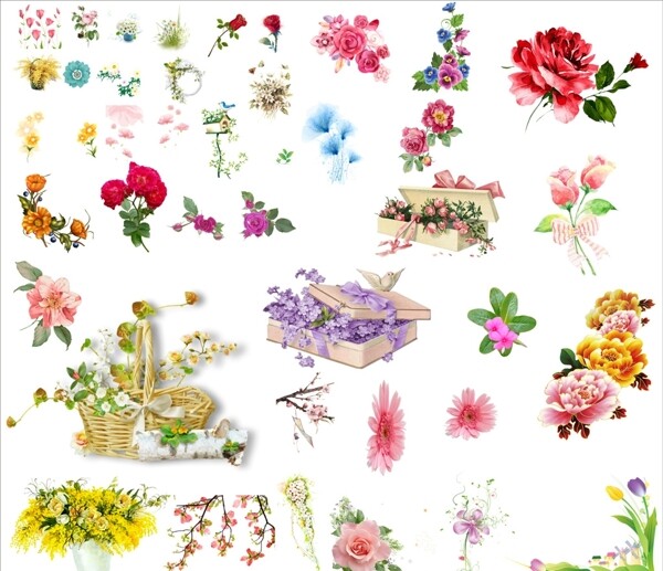 花素材