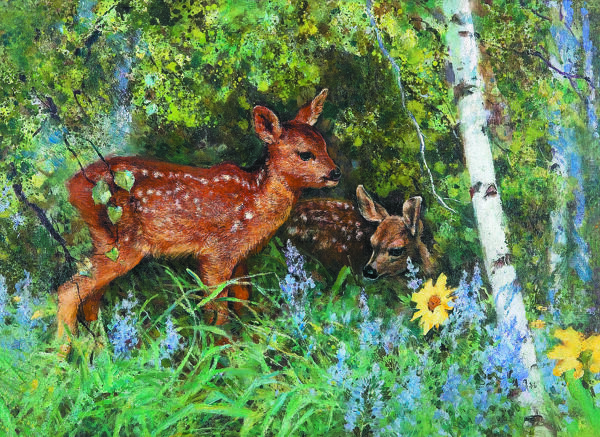 林中双鹿图片