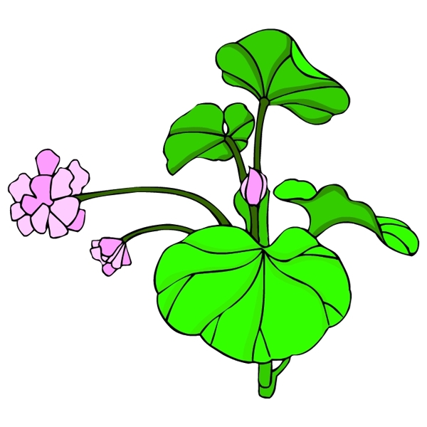 花卉古典插畫