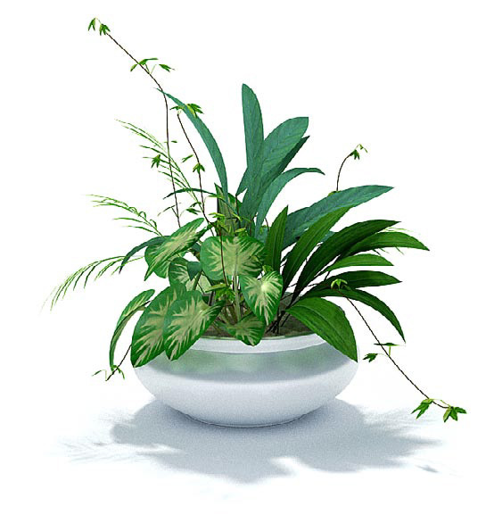 绿色植物组合盆景3d模型