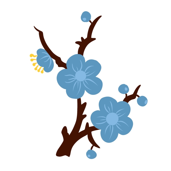蓝色花朵植物