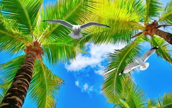 海邊風(fēng)景背景墻