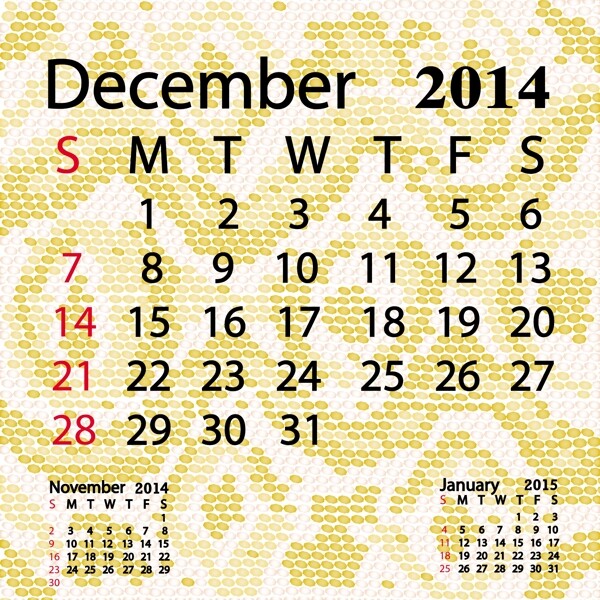 2014十二月日历白化蟒蛇皮