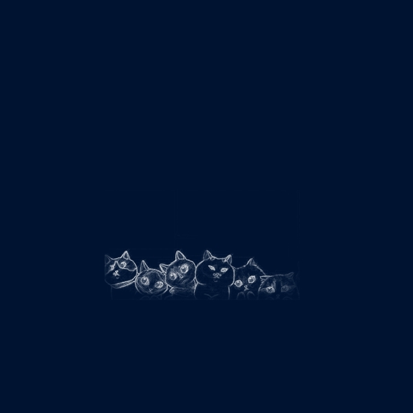 粉筆貓