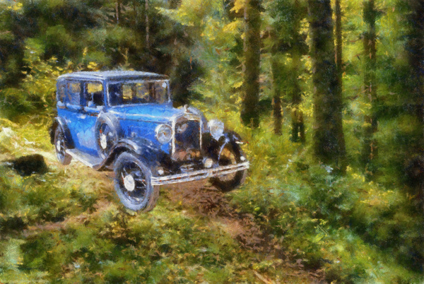 樹林里的汽車風景圖片