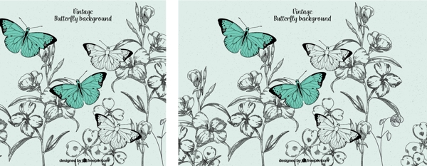 蝴蝶和花卉的经典插图背景