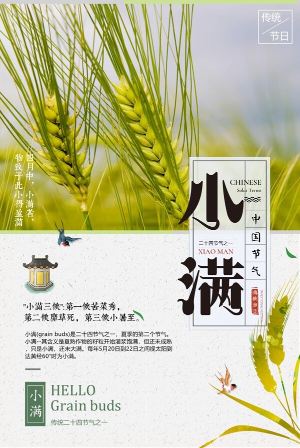 2018簡約創(chuàng)意二十四節(jié)氣之小滿節(jié)氣海報(bào)