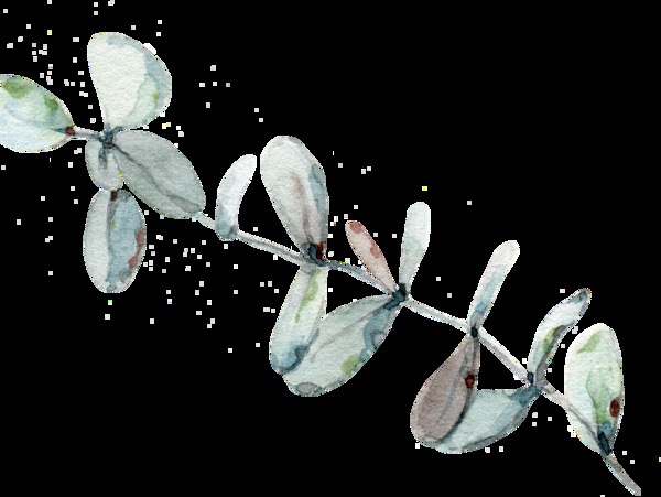 傳統(tǒng)水墨植物透明素材