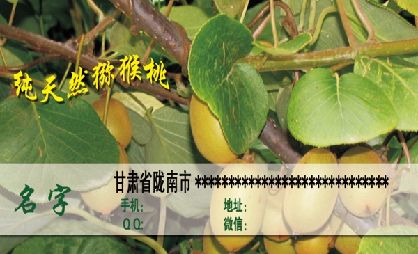 獼猴桃