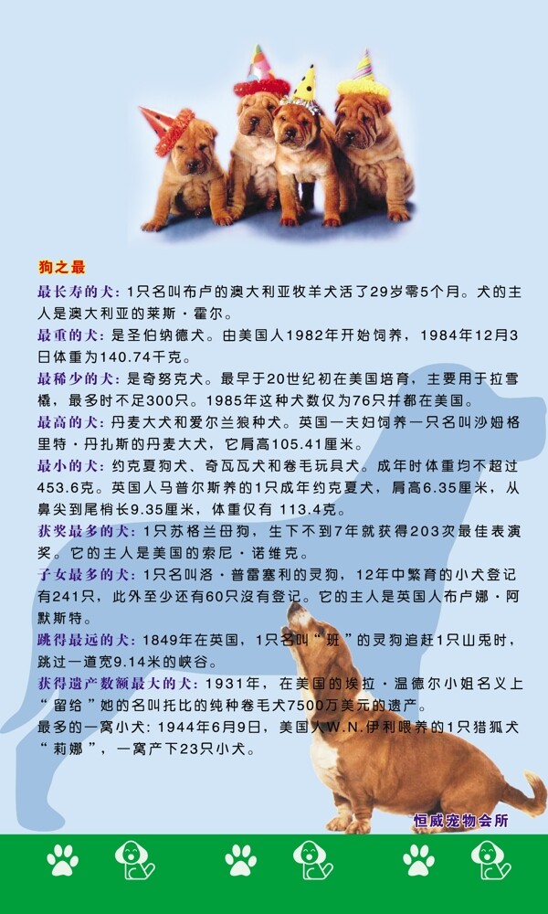 寵物護(hù)理圖片