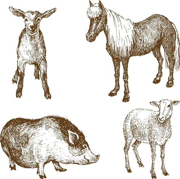 動物矢量素材1