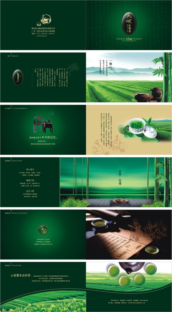 綠茶宣傳冊(cè)設(shè)計(jì)矢量素材